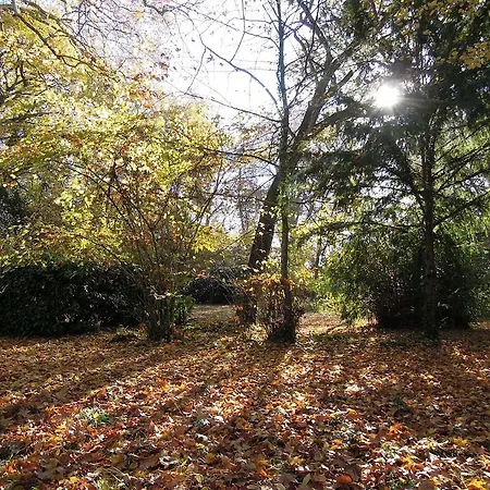 Chateau De Verrieres & מלון סומור