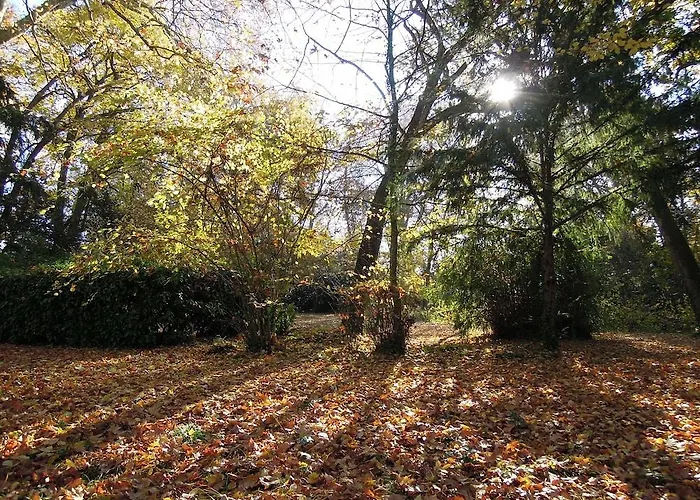 Chateau De Verrieres & ホテル ソミュール